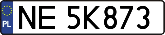 NE5K873
