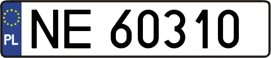 NE60310