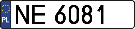 NE6081