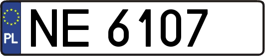 NE6107