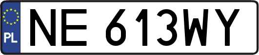 NE613WY
