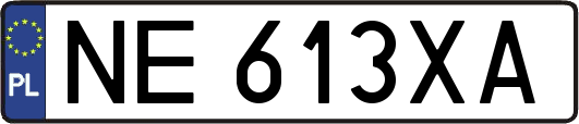 NE613XA