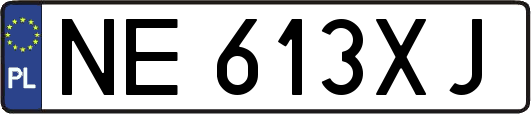 NE613XJ