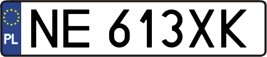 NE613XK
