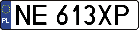 NE613XP