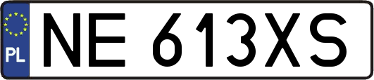 NE613XS