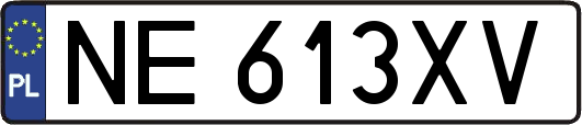 NE613XV