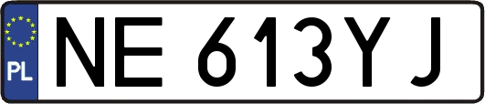 NE613YJ