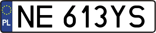 NE613YS