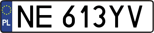 NE613YV