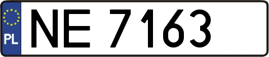 NE7163