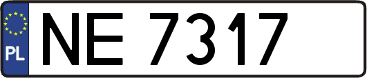 NE7317
