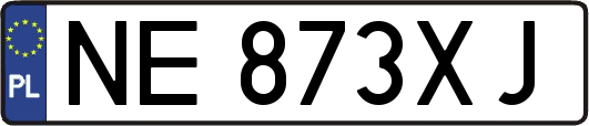 NE873XJ