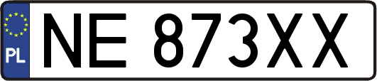 NE873XX