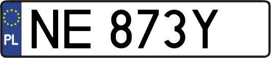 NE873Y