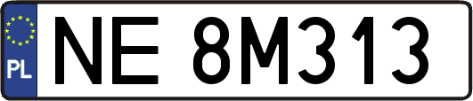 NE8M313