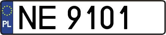 NE9101