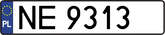 NE9313