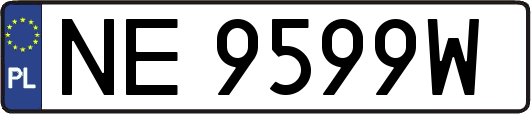 NE9599W