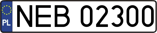 NEB02300