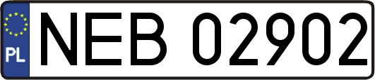 NEB02902