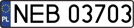 NEB03703