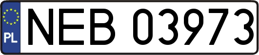 NEB03973