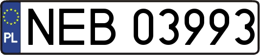 NEB03993