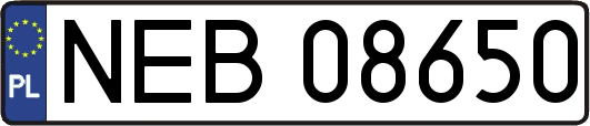 NEB08650
