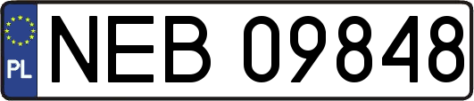 NEB09848