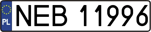 NEB11996