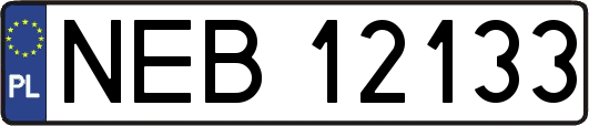 NEB12133
