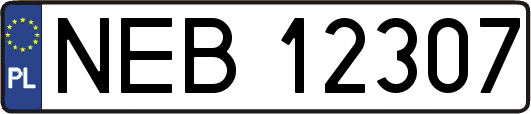 NEB12307