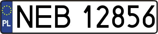 NEB12856