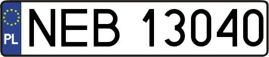 NEB13040