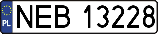 NEB13228