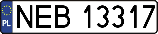NEB13317