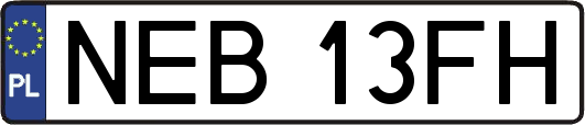 NEB13FH