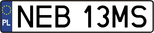 NEB13MS