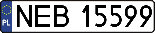 NEB15599