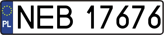 NEB17676