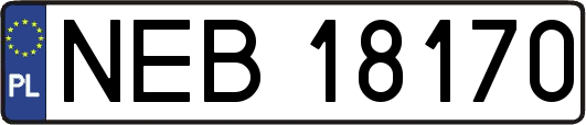 NEB18170