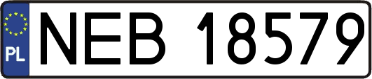 NEB18579