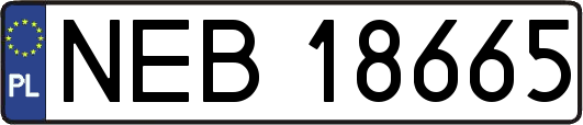 NEB18665