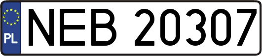 NEB20307