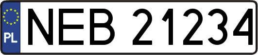 NEB21234