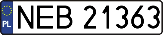 NEB21363