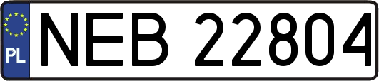 NEB22804