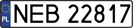 NEB22817