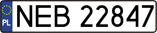 NEB22847